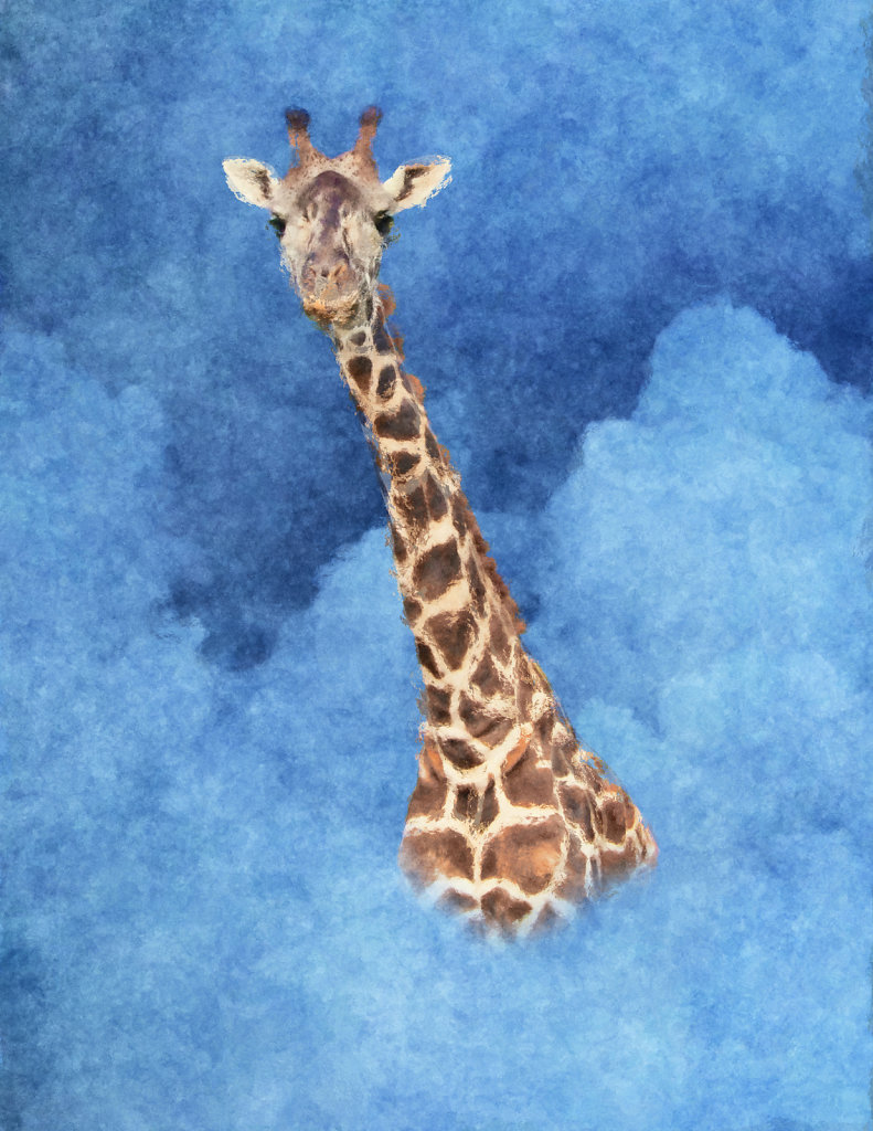 Giraffe Flight