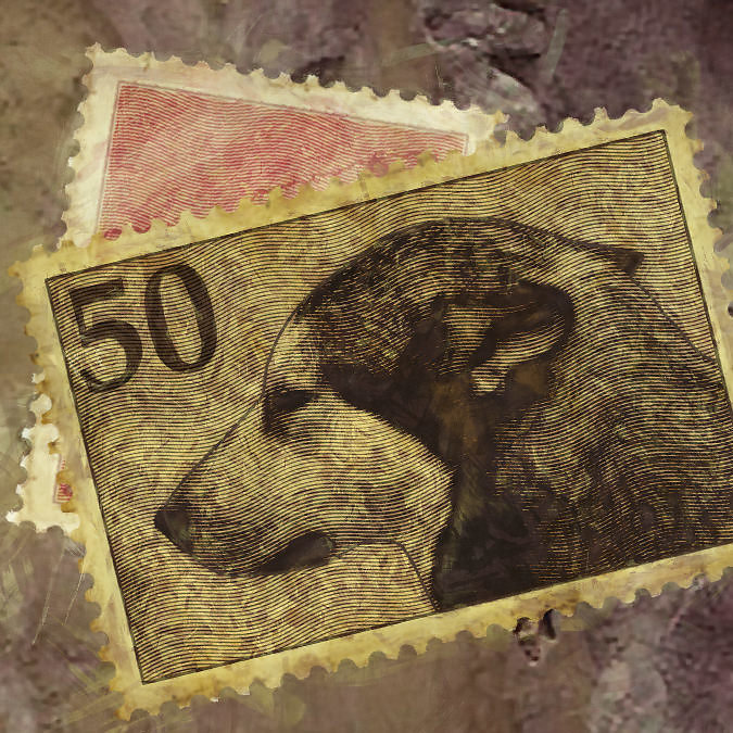 Doggy Stamp Two