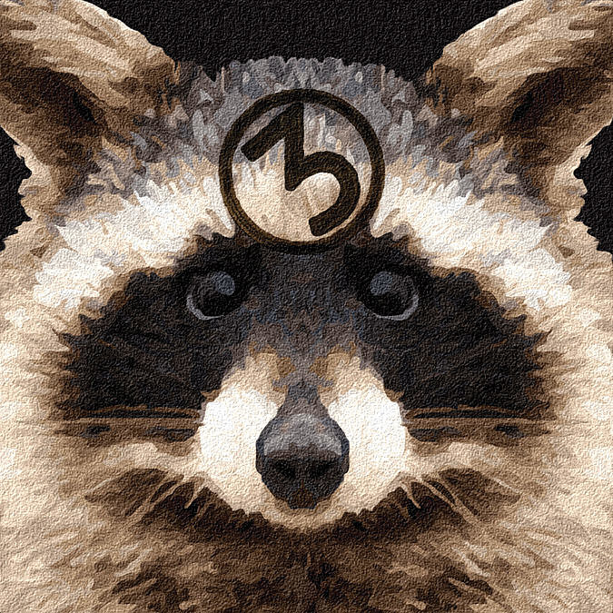 Thrice Raccoon