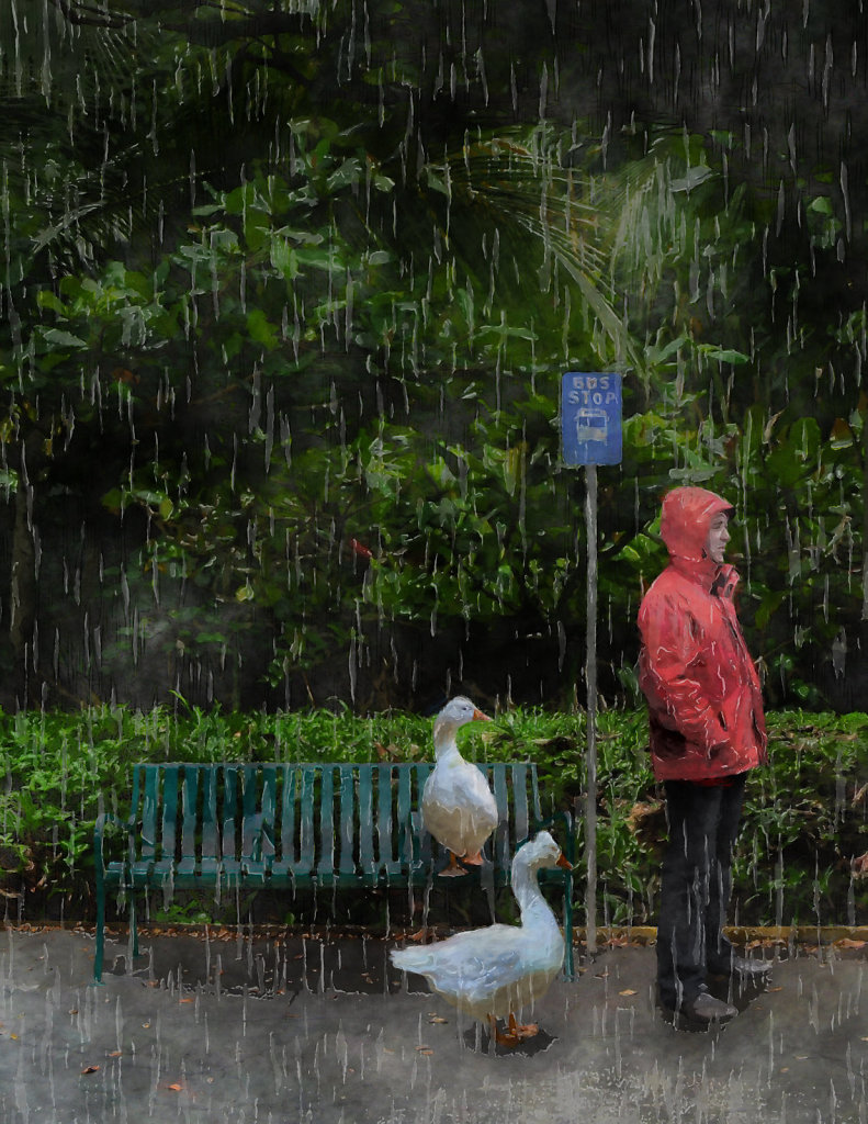 Rainy Day Dustin